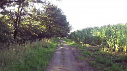 Imagen de ruta Ruta ciclista por el Moldava - parte sur