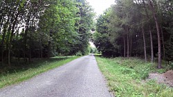 Imagen de ruta Ruta ciclista por el Moldava - parte sur