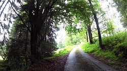 Imagen de ruta Ruta ciclista por el Moldava - parte sur