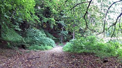 Obrázek z trasy Z Tábora ke studánce Eleonorce přes Harrachovku na Klokoty