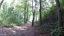 Obrázek z trasy Z Tábora ke studánce Eleonorce přes Harrachovku na Klokoty