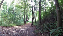 Obrázek z trasy Z Tábora ke studánce Eleonorce přes Harrachovku na Klokoty