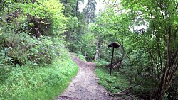 Obrázek z trasy Z Tábora ke studánce Eleonorce přes Harrachovku na Klokoty