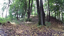 Obrázek z trasy Z Tábora ke studánce Eleonorce přes Harrachovku na Klokoty