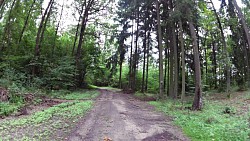 Obrázek z trasy Z Tábora ke studánce Eleonorce přes Harrachovku na Klokoty