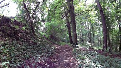 Obrázek z trasy Z Tábora ke studánce Eleonorce přes Harrachovku na Klokoty