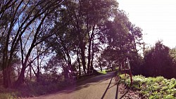 Bilder aus der Strecke Hradec Králové - Kuks, Elberadweg