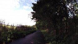 Picture from track Hradec Králové - Kuks, Labe cycle path