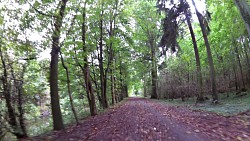 Obrazek z trasy Hradec Králové - Kuks, Łabska ścieżka rowerowa