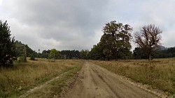 Obrázek z trasy Z Doks kolem Hradčanských stěn k Máchovu jezeru