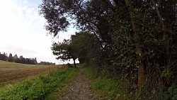 Picture from track Trhové Sviny region - nature trail and Trhové Sviny