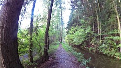 Picture from track Trhové Sviny region - nature trail and Trhové Sviny