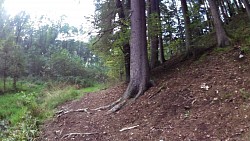 Picture from track Trhové Sviny region - nature trail and Trhové Sviny