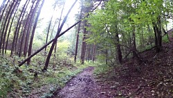 Picture from track Trhové Sviny region - nature trail and Trhové Sviny