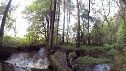 Picture from track Trhové Sviny region - nature trail and Trhové Sviny