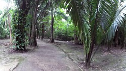 Bilder aus der Strecke Chacchoben Ruinen, Costa Maya, Mexiko