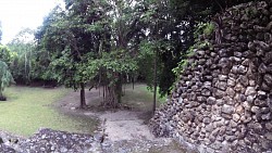 Immagine dalla pista Rovine Chacchoben - monumenti Maya, Costa Maya, Messico