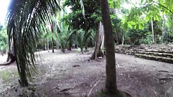 Immagine dalla pista Rovine Chacchoben - monumenti Maya, Costa Maya, Messico