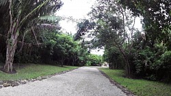 Immagine dalla pista Rovine Chacchoben - monumenti Maya, Costa Maya, Messico