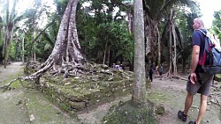 Obrazek z trasy Chacchoben Ruins – Zabytki Majów, Costa Maya, Mexiko