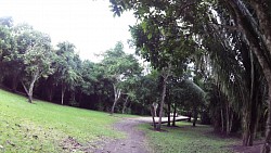 Picture from track Chacchoben Ruins, Costa Maya, Mexiko