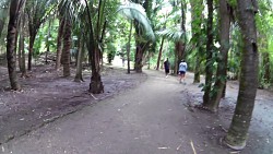 Bilder aus der Strecke Chacchoben Ruinen, Costa Maya, Mexiko