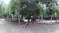 Bilder aus der Strecke Chacchoben Ruinen, Costa Maya, Mexiko