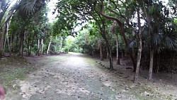 Immagine dalla pista Rovine Chacchoben - monumenti Maya, Costa Maya, Messico