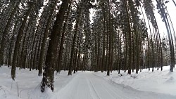 Obrázek z trasy Červený okruh - 5 km