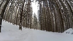 Obrázek z trasy Červený okruh - 5 km