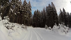 Obrázek z trasy Červený okruh - 5 km