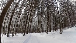 Obrázek z trasy Červený okruh - 5 km