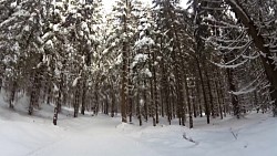 Obrázek z trasy Červený okruh - 5 km