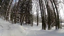 Obrázek z trasy Červený okruh - 5 km