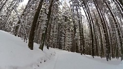 Obrázek z trasy Červený okruh - 5 km