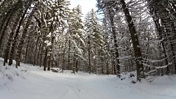 Obrázek z trasy Červený okruh - 5 km