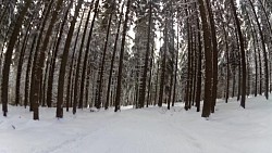 Obrázek z trasy Červený okruh - 5 km