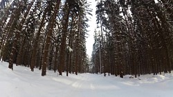 Obrázek z trasy Červený okruh - 5 km