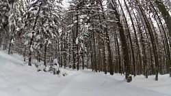 Obrázek z trasy Červený okruh - 5 km