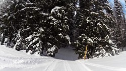 Obrázek z trasy Červený okruh - 5 km