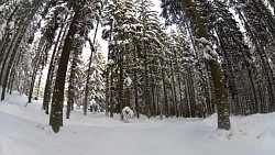 Obrázek z trasy Červený okruh - 5 km