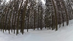 Obrázek z trasy Červený okruh - 5 km