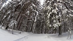 Obrázek z trasy Červený okruh - 5 km