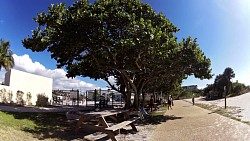 Obrázok z trasy Výlet z Bradenton na Lido beach