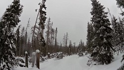 Bilder aus der Strecke Auf den Langlaufskis von Kvilda aus über die Moldauquellen, über Modrava und Horská  Kvilda zu Kvilda zurück