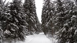 Bilder aus der Strecke Auf den Langlaufskis von Kvilda aus über die Moldauquellen, über Modrava und Horská  Kvilda zu Kvilda zurück