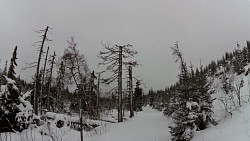 Bilder aus der Strecke Auf den Langlaufskis von Kvilda aus über die Moldauquellen, über Modrava und Horská  Kvilda zu Kvilda zurück