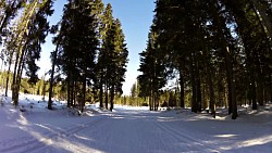 Bilder aus der Strecke Auf den Langlaufskis von Kvilda aus über die Moldauquellen, über Modrava und Horská  Kvilda zu Kvilda zurück