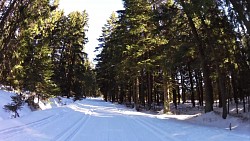 Фото с дорожки От Квилды на беговых лыжах через источники Влтавы, Модраву и Горную Квилду и обратно в Квилду.