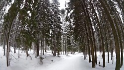 Obrázek z trasy Z Kvildy na běžkách přes prameny Vltavy, Modravu a Horskou Kvildu zpět na Kvildu.